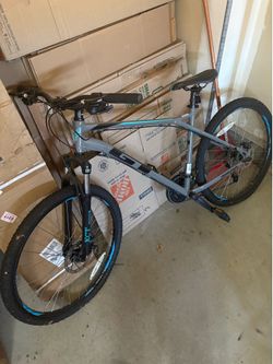 GT Bike Large Frame $260 obo