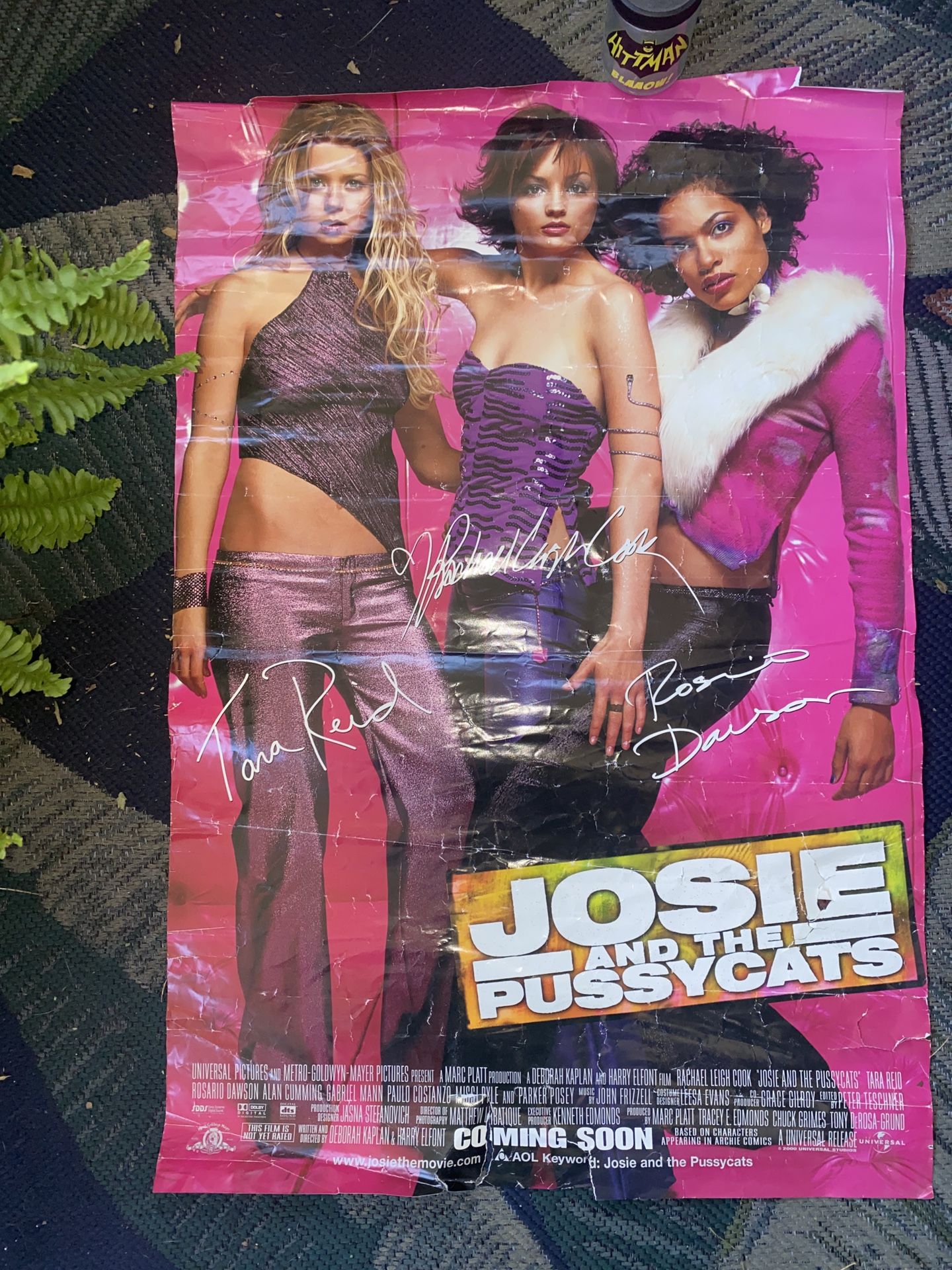 promotional movie poster for the 2001 film Josie and the Pussycats. The poster features the main cast members Rachael Leigh Cook,