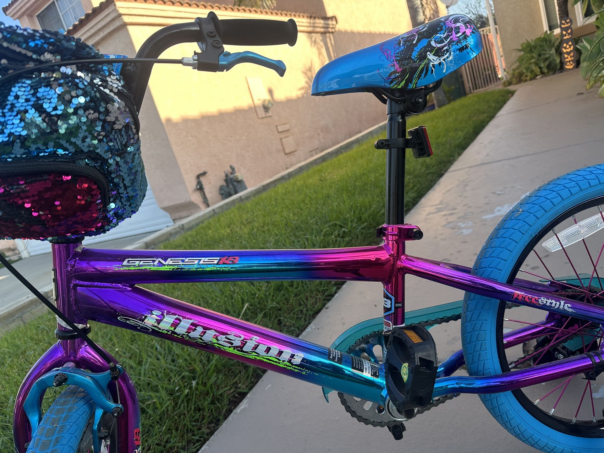 New Girls Bike $30