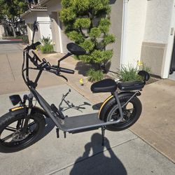 E-scooter Fat Tire 48V 1000W 20" 