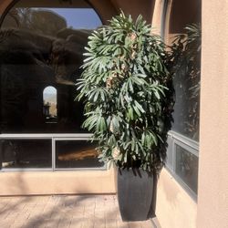 Huge Quality Lady Palm Fake Plant 
