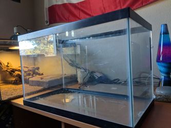 10 Gallon Tank