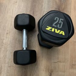 Set of dumbbells (25 and 10 pounds) and a bench