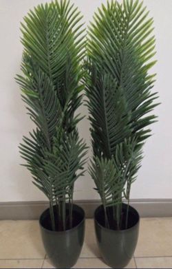 PAIR of 52" Faux Areca Palms in 11" Green Resin Planters (2 for $100) @ Lasting Creations