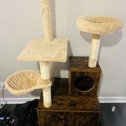Cat Condo