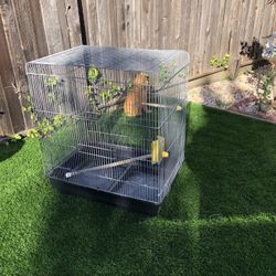 Bird Cage