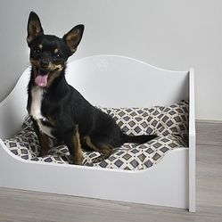 Camitas Y Comederos Para Perros Y Gatos