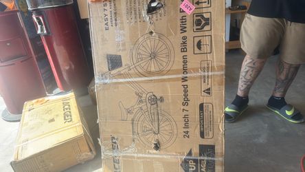 Bike Girl 24”
