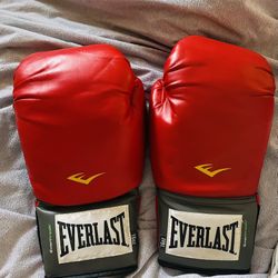 Everlast Boxing training set + Adidas 2 lb weights