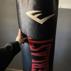 Everlast Stand And Punching Bag