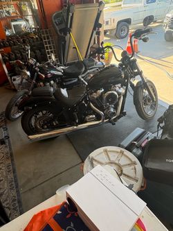 2025 Harley Davidson Street Bob 117