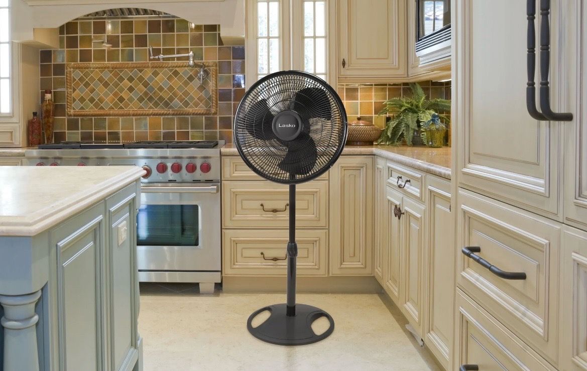 New fan