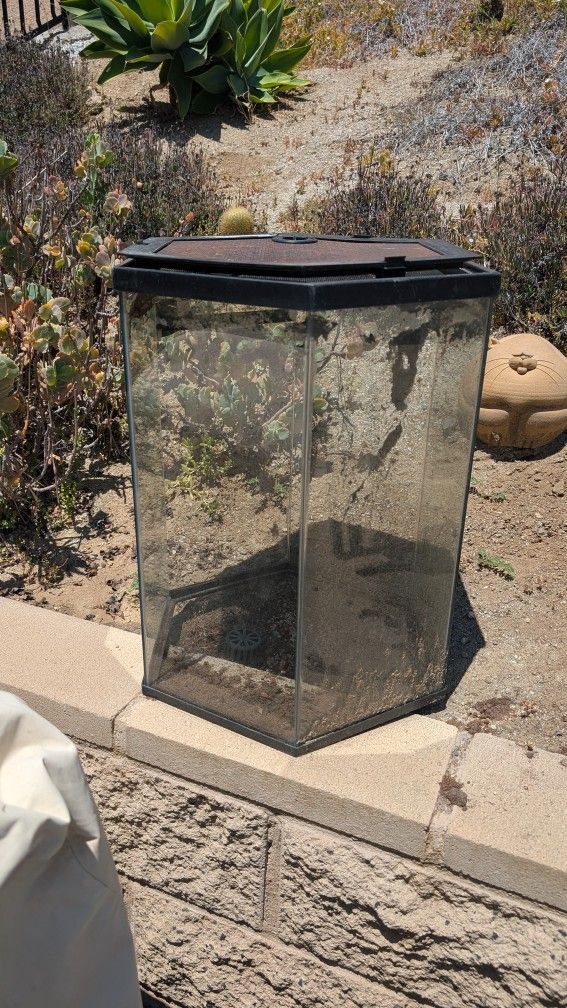 Octagon Tall Terrarium With Mesh Lid