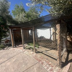 Chicken Coupe/ Dog Runner 