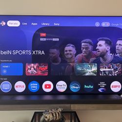 65” OLED TV