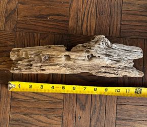 Driftwood