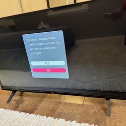 LG 43” Flat Screen TV