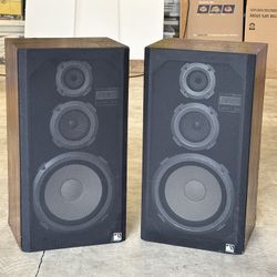 DMS Linear Dynamics Speaker pair