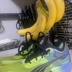 Puma Fast-R Nitro Elite running “ SUPER SHOE “