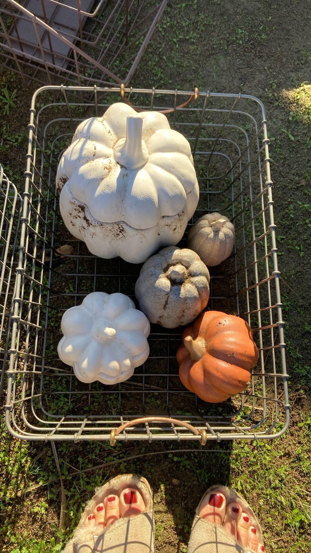 5 Ceramic Pumpkins 