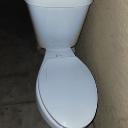 Glacier bay toilet
