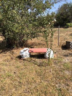 62 L 21tall inch rabbit bench
