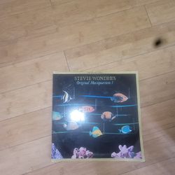Stevie Wonder Musicquarium