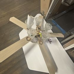 Ceiling Fan 