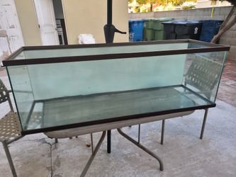 Reptile tank 16” by 16” by 48” terrarium