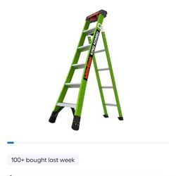 Little Giant 6ft King Combo 