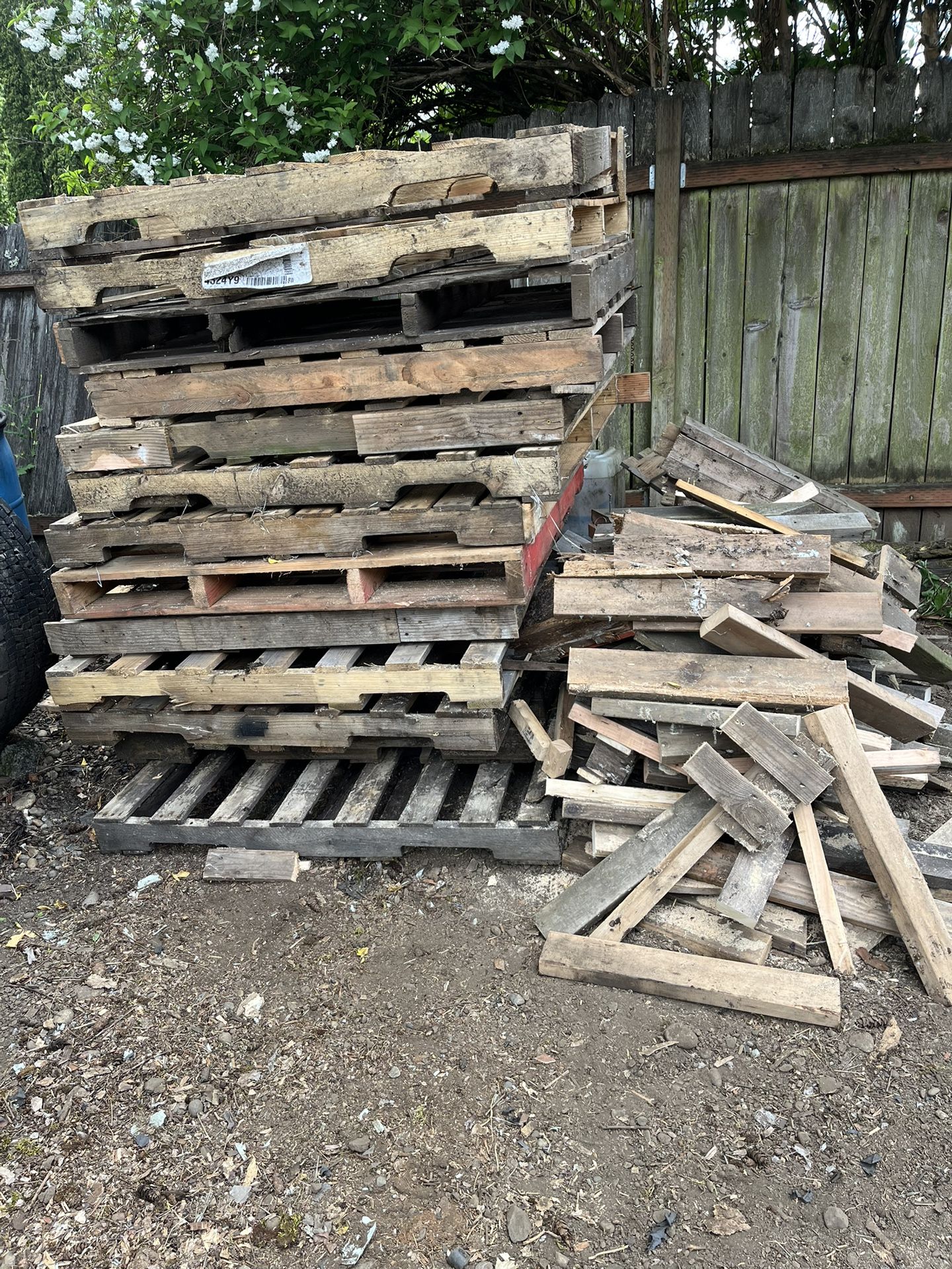 Pallets and Wood FREE