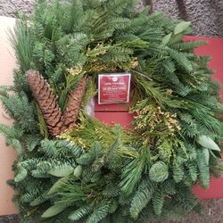 Fresh Green With Lights