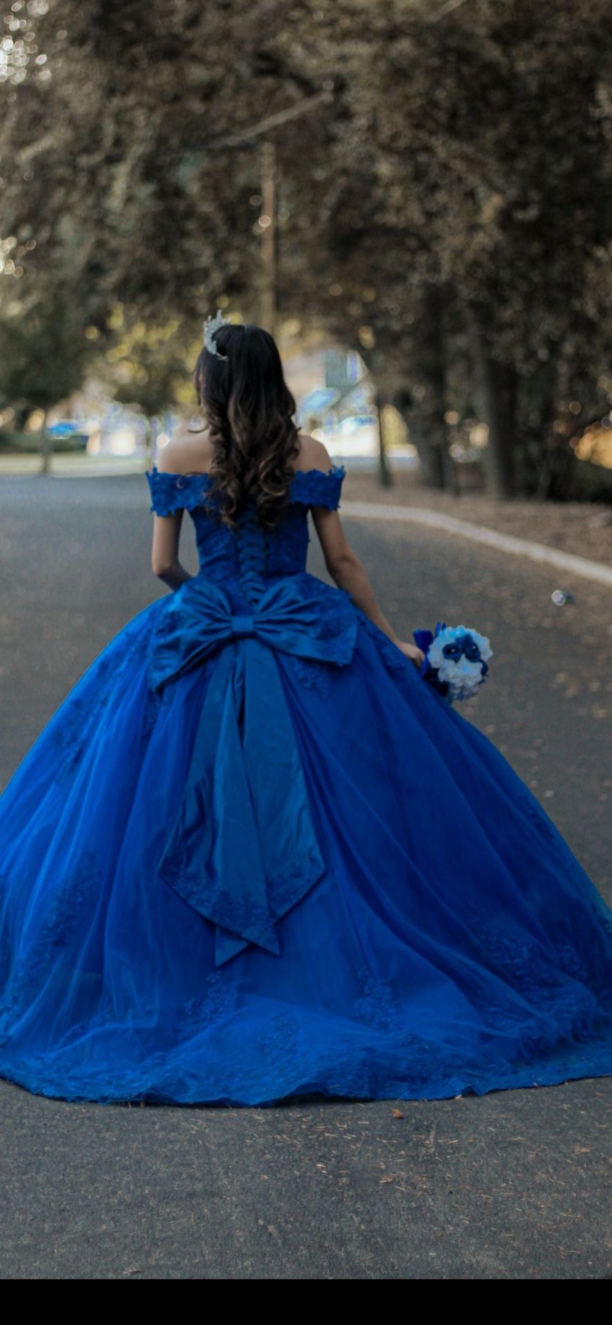 Quinceañera dress 