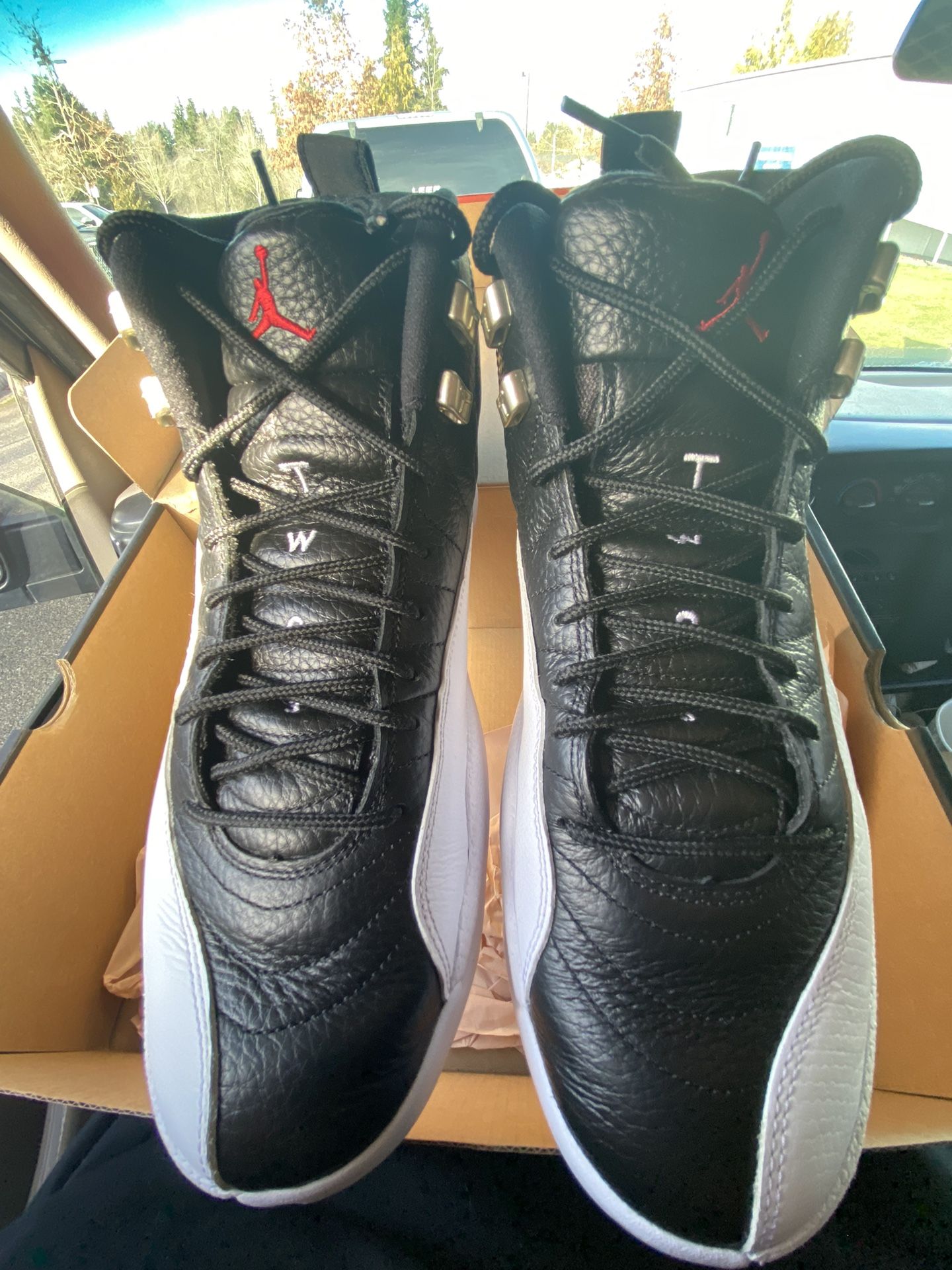 jordan 12s size 7