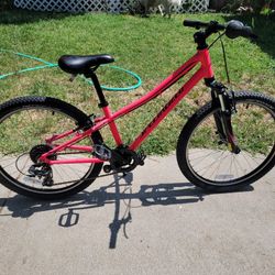 Specialized Bicycle 