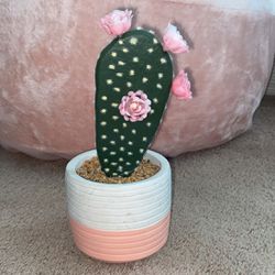 Cactus Plant With Pink Roses