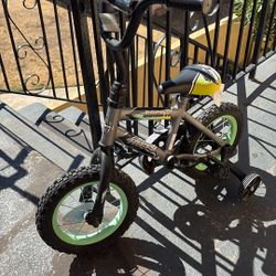 Toddler Bike