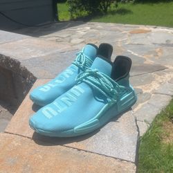 Human Race Aqua