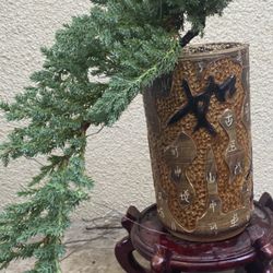 Bonsai Cascade Style $60 Each