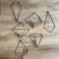 Set Of Air Plant Holders