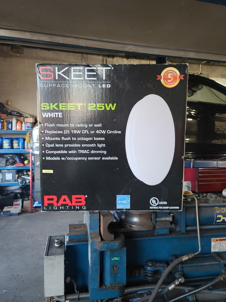RAB Surface Mount LED Lighting