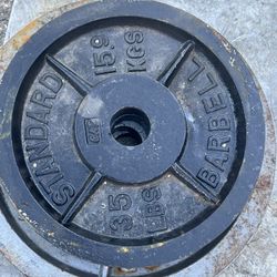 Olympic Standard Barbell Pair Of 35s 