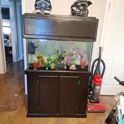 55 Gallon Aquarium 