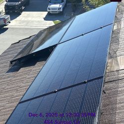 Bird Net And Bird Spikes