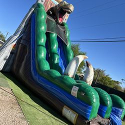 22Ft Jurassic water slide /DrySlide 