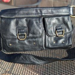 GoBee photography utility hip bag