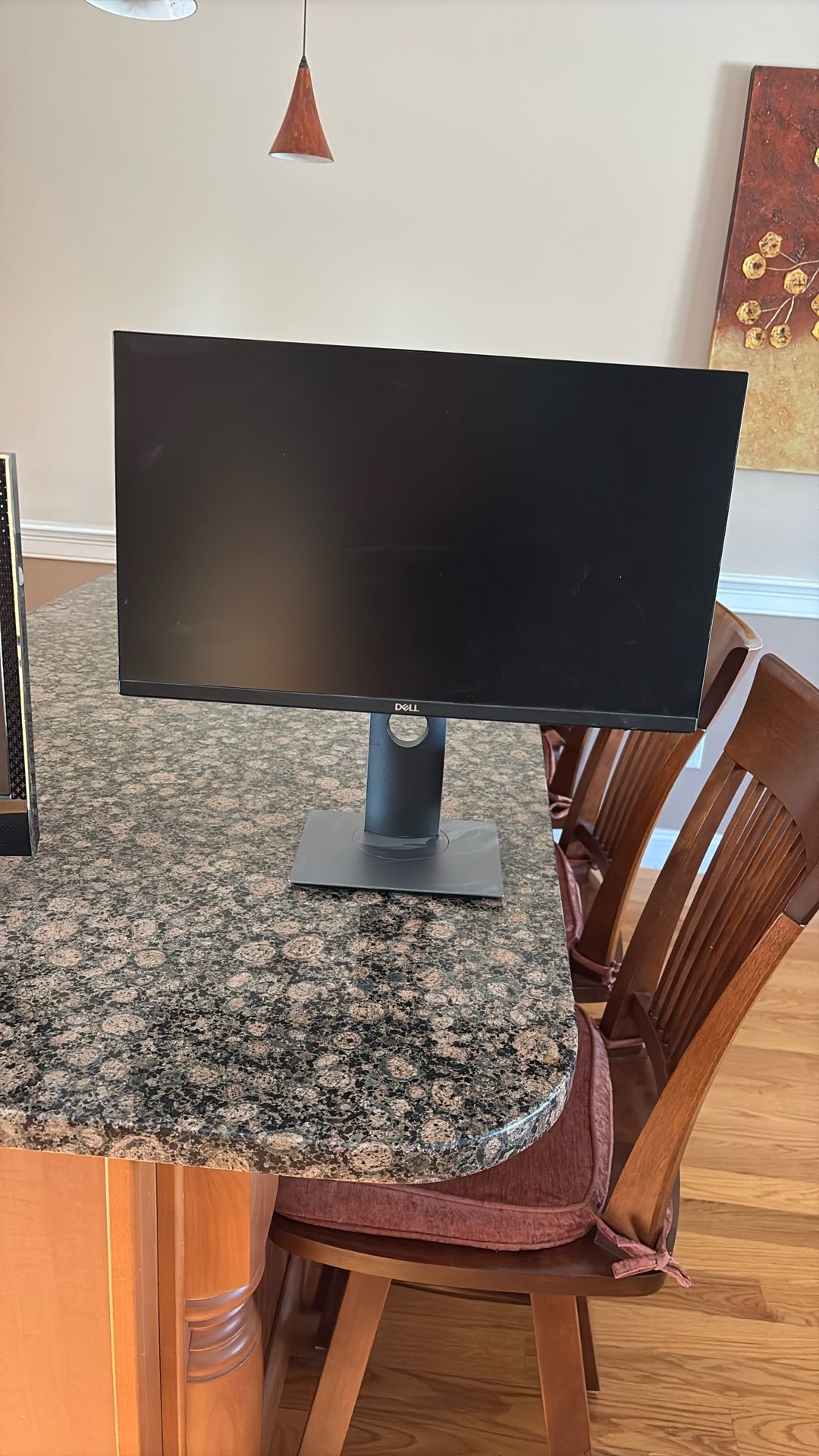 Dell Monitor 21 Inch