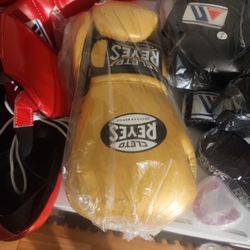 14 Oz Gold Reyes Boxing  Gloves With FREE HAND WRAPS INCLUDED 