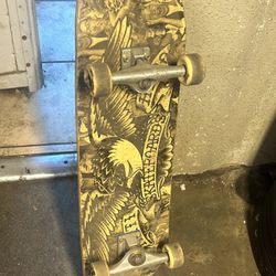 Skate Board 