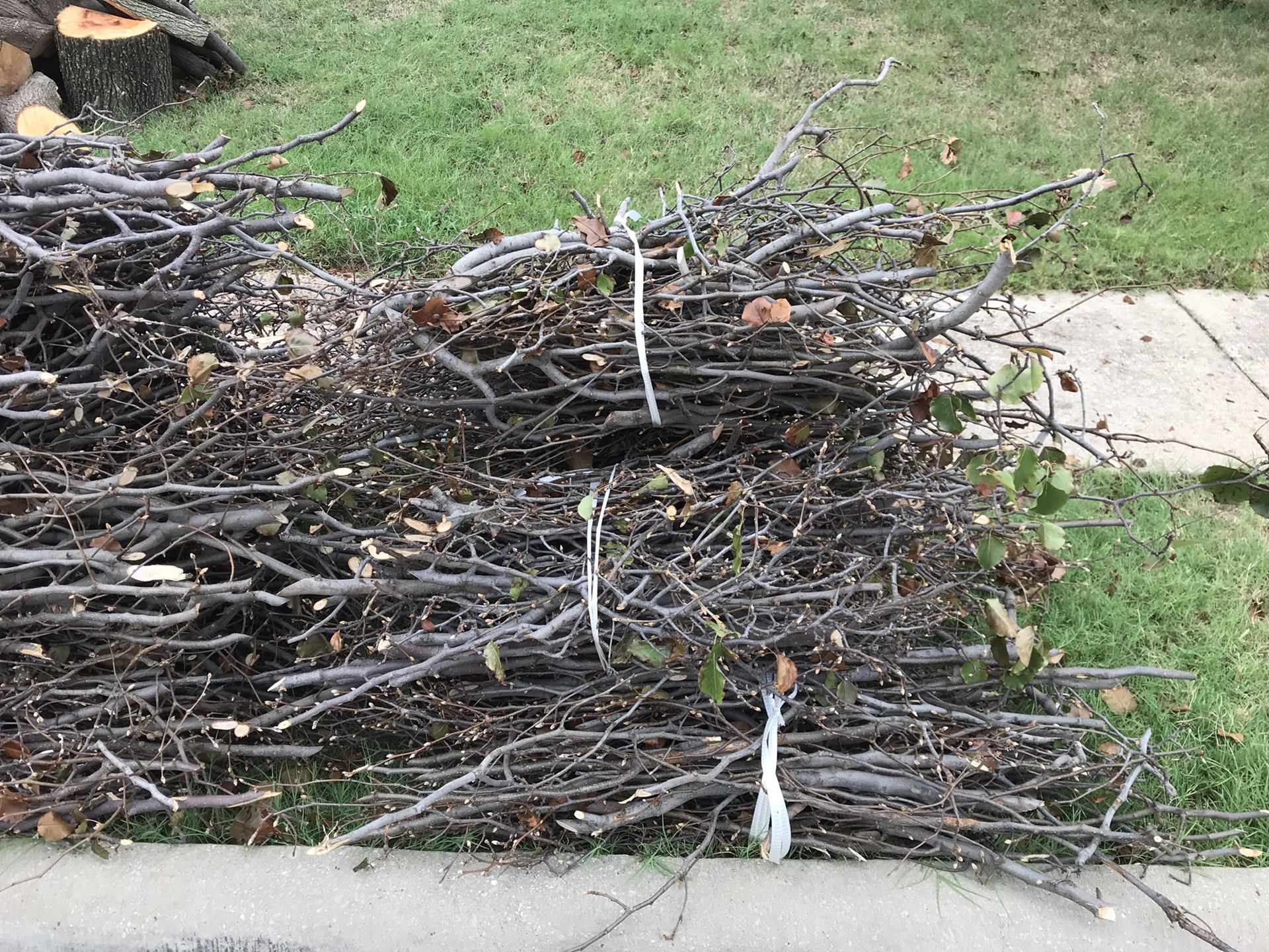 Free firewood- Lewisville- Mon or Tues ONLY